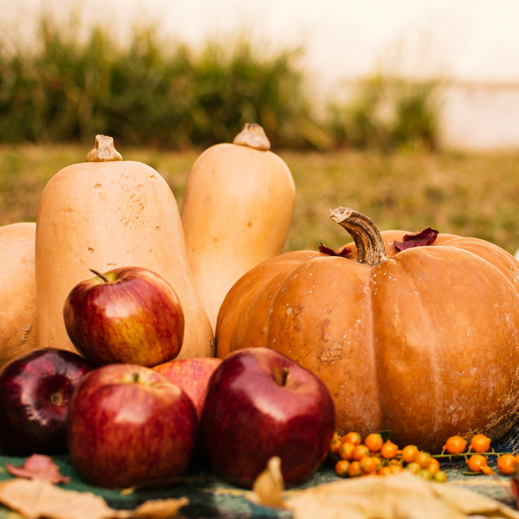 Thanksgiving & Friendsgiving
