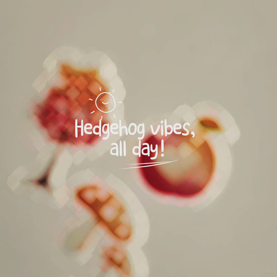 Hedgehog Vinyl Sticker Collection - Series 2 by Adore By Nat