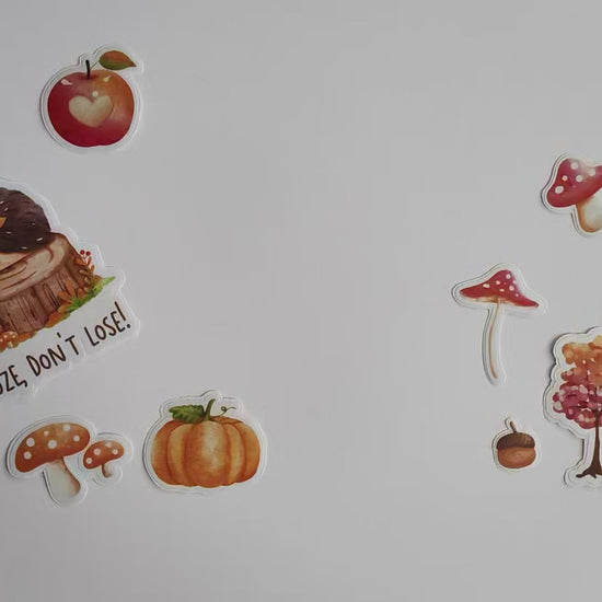 Hedgehog Vinyl Sticker Collection - Series 2 by Adore By Nat