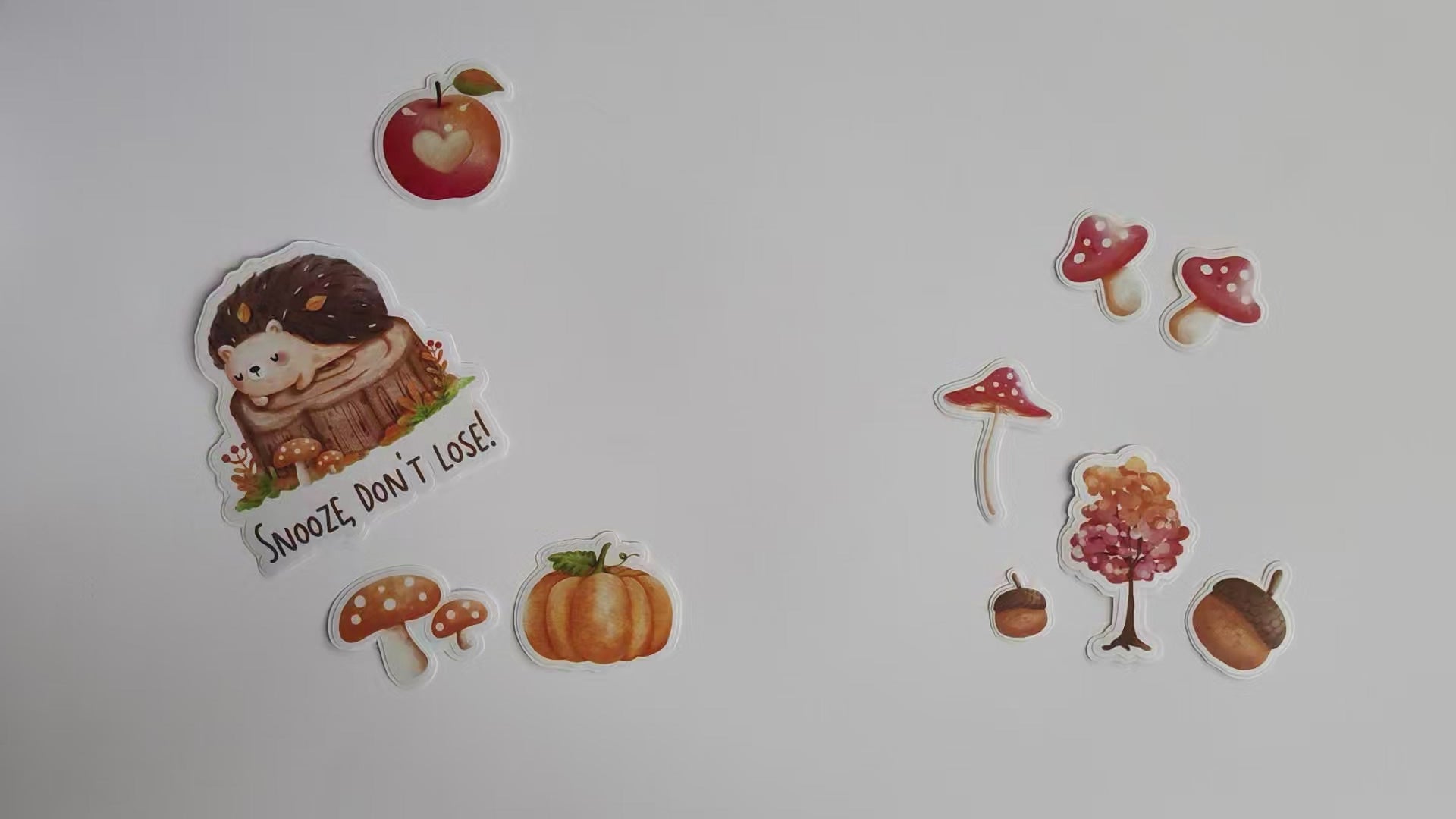 Hedgehog Vinyl Sticker Collection - Series 2 by Adore By Nat